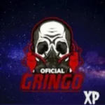 gringo xp